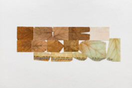 AURA Kunstraum