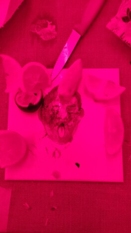 AURA Kunstraum